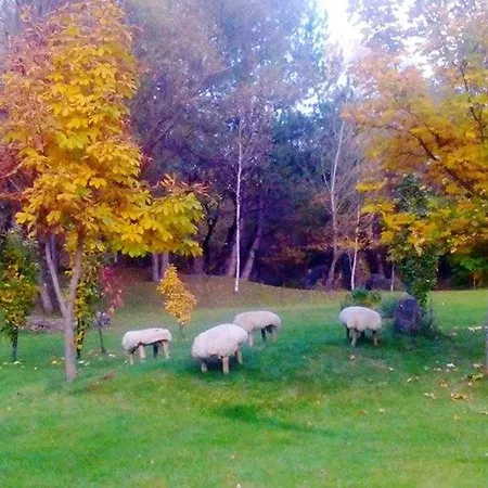 Hébergement de vacances Holiday Omaya Eco Village Gaytaninovo